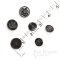BASFORD Black Nickel Coat of Arms Buttons