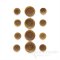GAGE Chic Spice Brown Corozo Suit and Overcoat Buttons, Made in Italy
