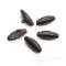 EVIGLA Leather Toggle Buttons In Six Colors, Made in Italy