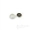 Pale Silver Scallop Shell Buttons, Made in France