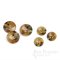 QWAN Butterscotch Tan Horn-Effect Buttons, Made in Italy