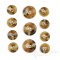 QWAN Butterscotch Tan Horn-Effect Buttons, Made in Italy