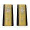 United States Coast Guard Admiral Enhanced Hard Shoulder Boards